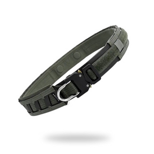 חגורות ורצועות